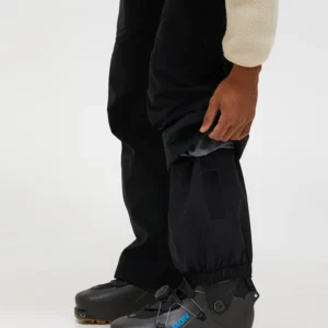 Alpine Gore-Tex 3L Pant Men