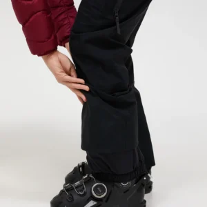 Alpine Gore-Tex 3L Pant Women