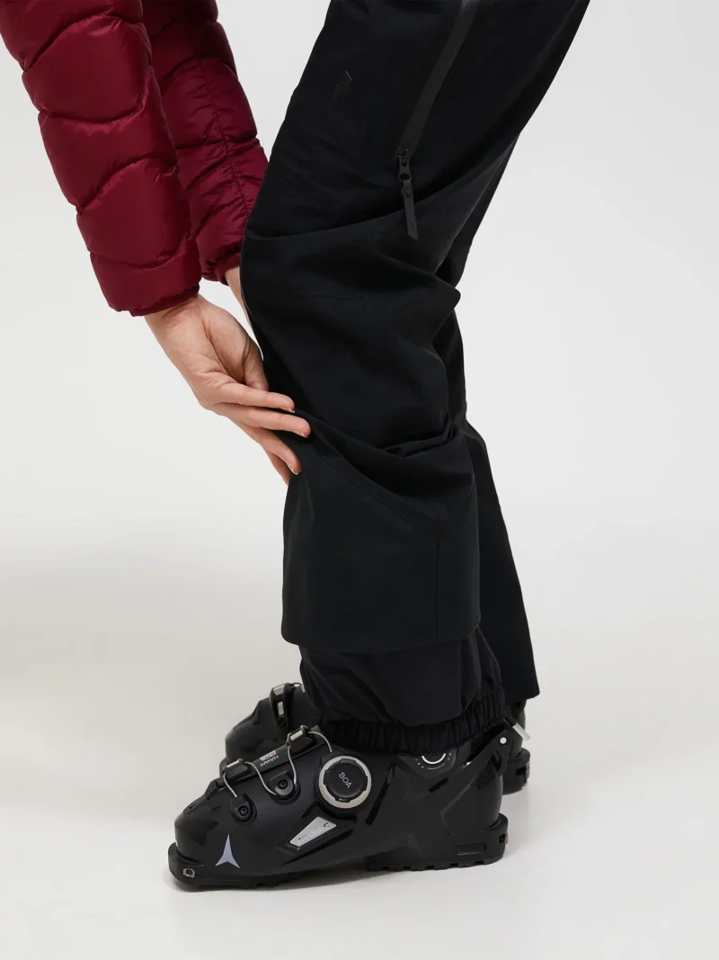Alpine Gore-Tex 3L Pant Women