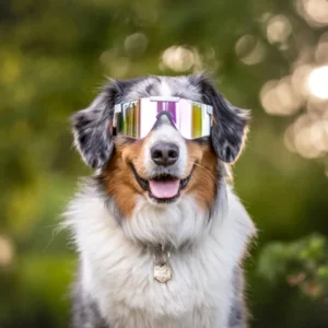 The Miami Nights Original Regular - HDPV Polarized