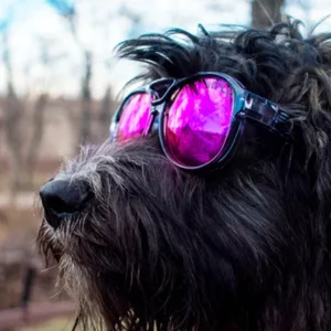 The Smoke Show Exciters Polarized Purple