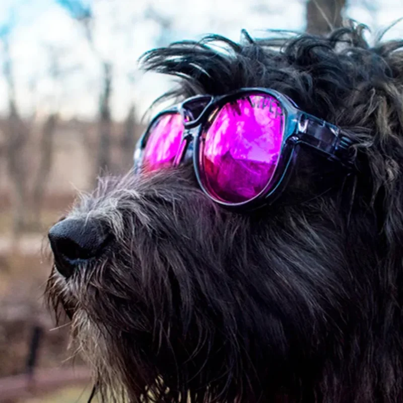 The Smoke Show Exciters Polarized Purple