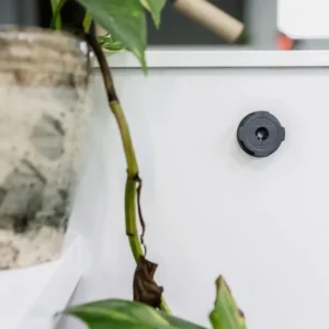 Adhesive Wall Mount (Twin Pack) V2