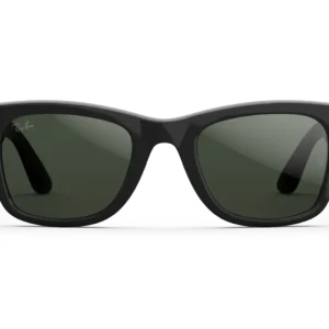 Wayfarer Meta (Gen 2) Transition Lens