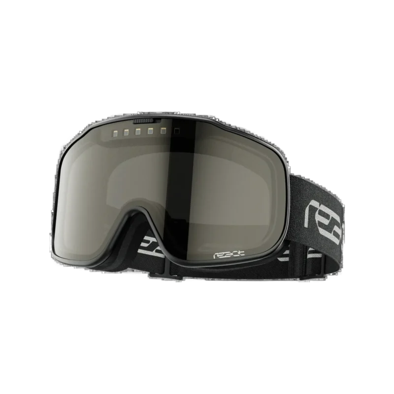 sight 2.0 Skibrille