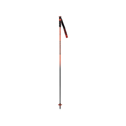 Hero Carbon Skistock
