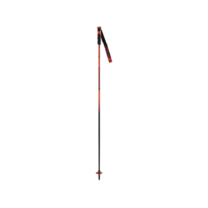 Hero Carbon Skistock