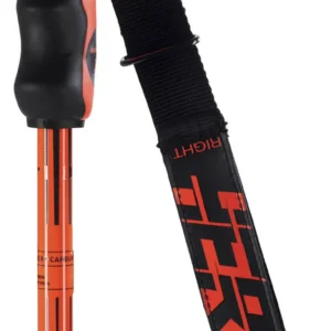 Hero Carbon Skistock