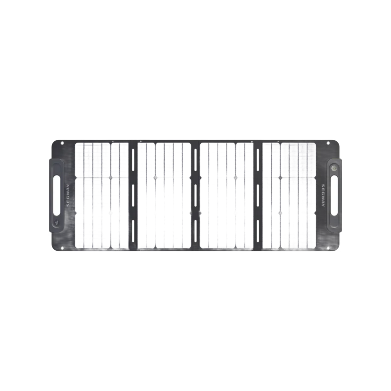 SP 100