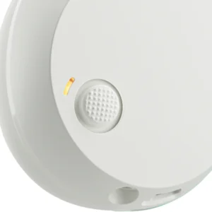 Icon 180 On-Ear Bone