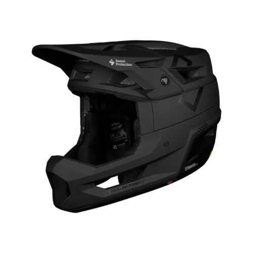 Strayer 2Vi Mips Helmet matte black