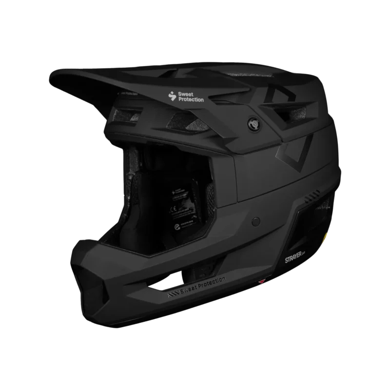 Strayer 2Vi Mips Helmet matte black
