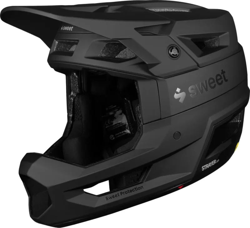 Strayer 2Vi Mips Helmet matte black