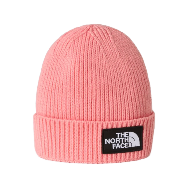 TNF Logo Box Beanie Kids