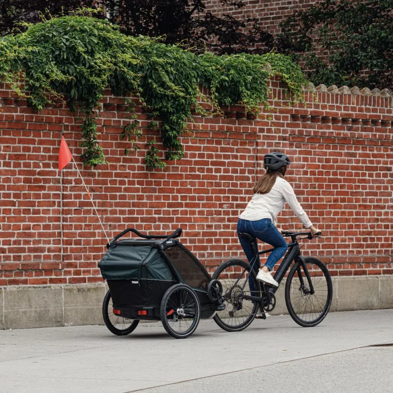 Chariot CAB 2, 2-Sitz Multisport-Fahrradanhänger