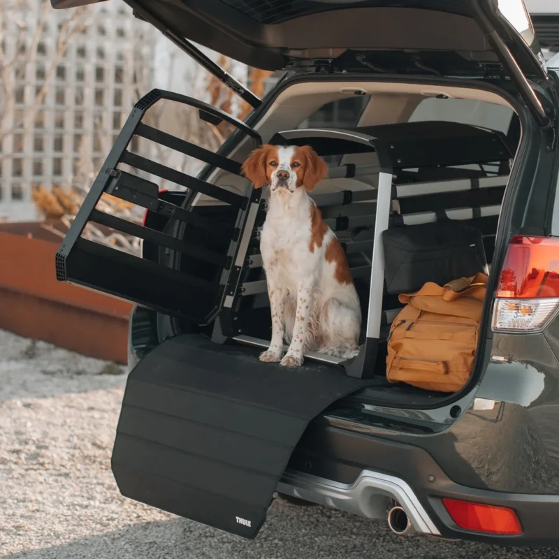 Hundebox Allax XS