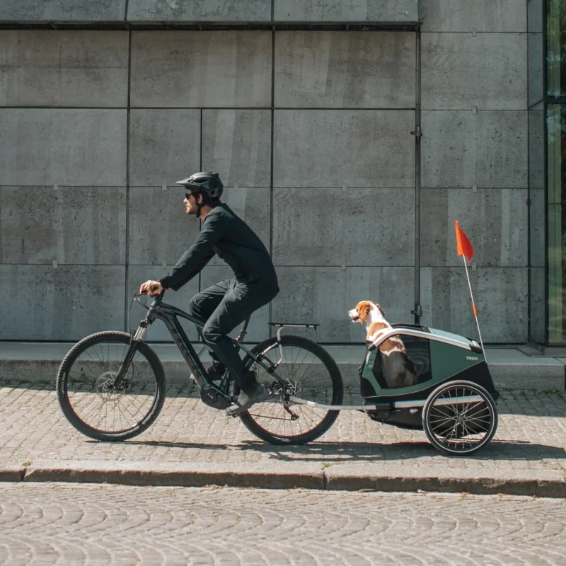 thule-thule-bexey-l-hunde-fahrradanhaenger-hazy-green-5 Thule Bexey L Hunde-Fahrradanhänger