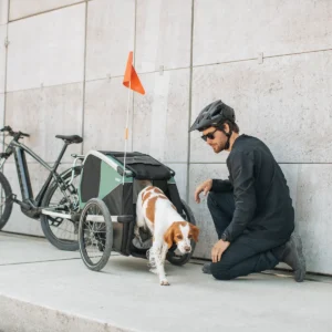 thule-thule-bexey-l-hunde-fahrradanhaenger-hazy-green-6 Thule Bexey L Hunde-Fahrradanhänger