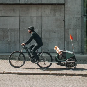Thule Bexey M Hunde-Fahrradanhänger