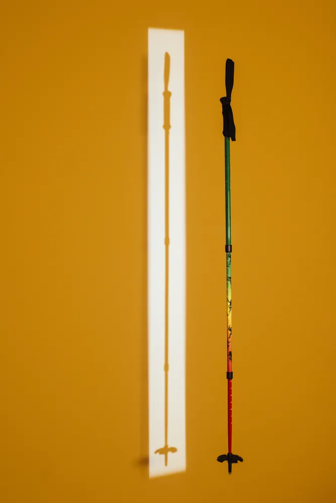 FLEX ALP 26 David Djite incl. 3-pc Pole