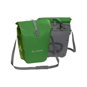 Aqua Back parrot green