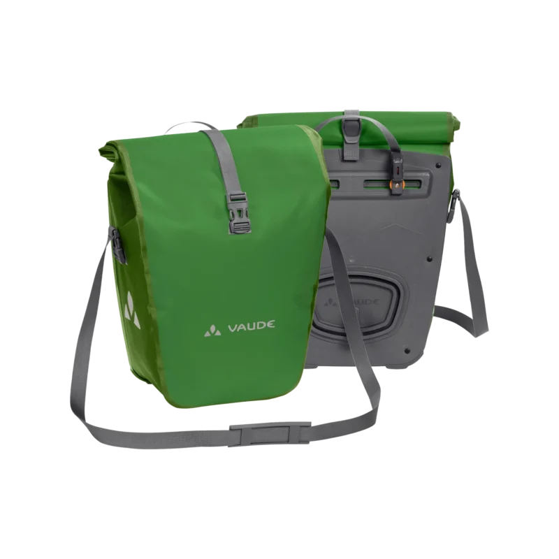 Aqua Back parrot green