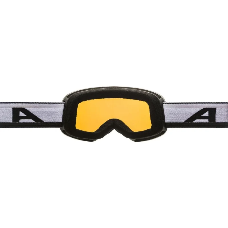 alpina-fernie-black-oil-matt-q-lite-skibrille-blue-3 Alpina fernie black oil matt q lite skibrille blue