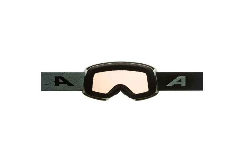 alpina-fernie-willow-grren-matt-q-lite-skibrille-green-3 Alpina fernie willow grren matt q lite skibrille green