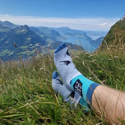 socken-telemark-laif-1-1 Socken telemark laif 1