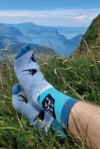 socken-telemark-laif-3-1 Socken telemark laif 3