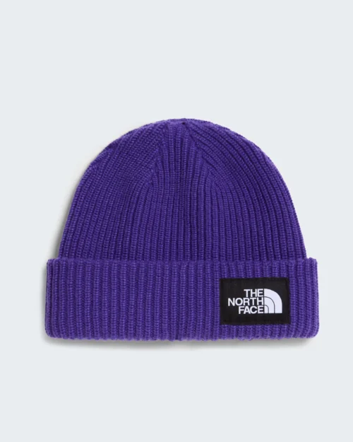 The north face salty lined beanie peak purple