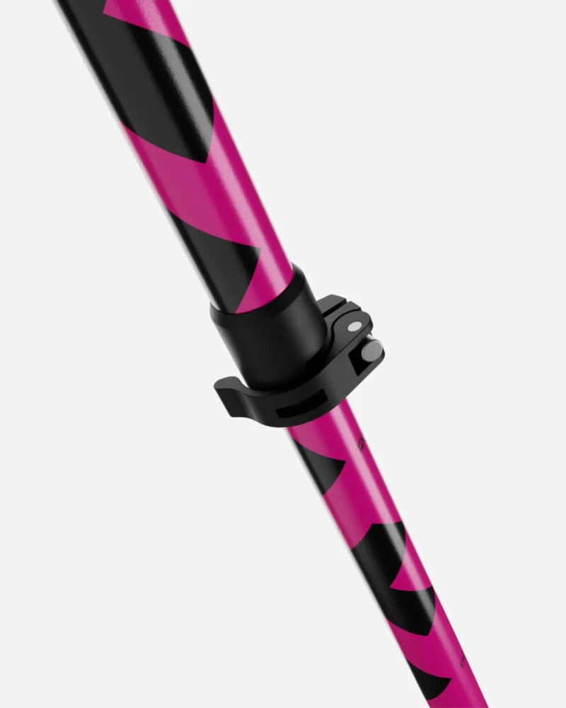 Black crows sector poles pink