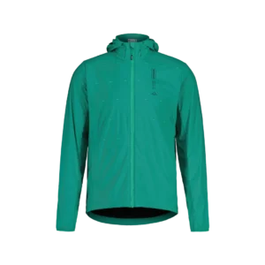 Maloja waldrastm polar light polar light